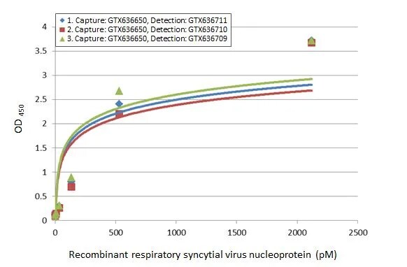 Respiratory Syncytial Virus Nucleoprotein Antibody (HL1296) - Azide and BSA Free