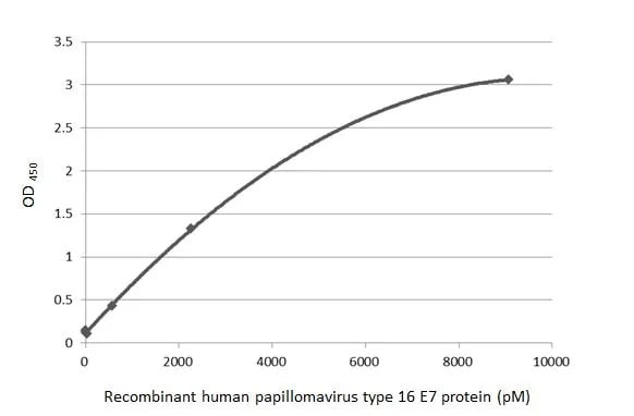 HPV16 E7 Antibody (HL1647) - Azide and BSA Free