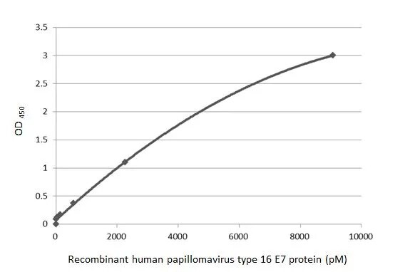 HPV16 E7 Antibody (HL1821) - Azide and BSA Free