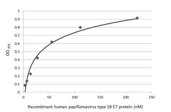 HPV18 E7 Antibody (HL2522) - Azide and BSA Free