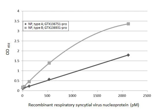 Respiratory Syncytial Virus Nucleoprotein Antibody (HL1245) - Azide and BSA Free