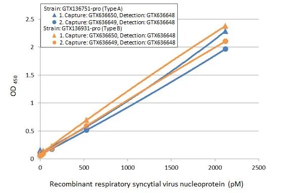 Respiratory Syncytial Virus Nucleoprotein Antibody (HL1247) - Azide and BSA Free