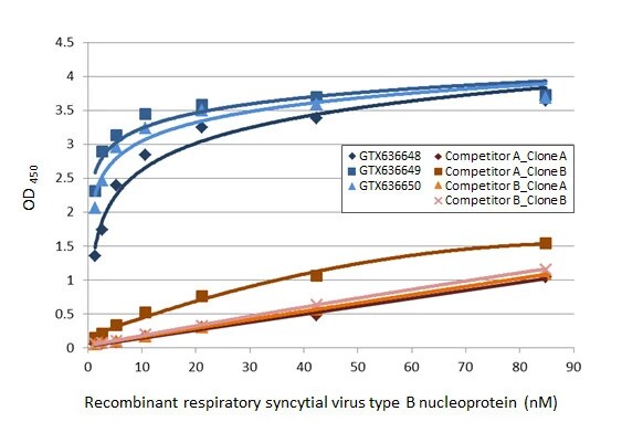 Respiratory Syncytial Virus Nucleoprotein Antibody (HL1247) - Azide and BSA Free