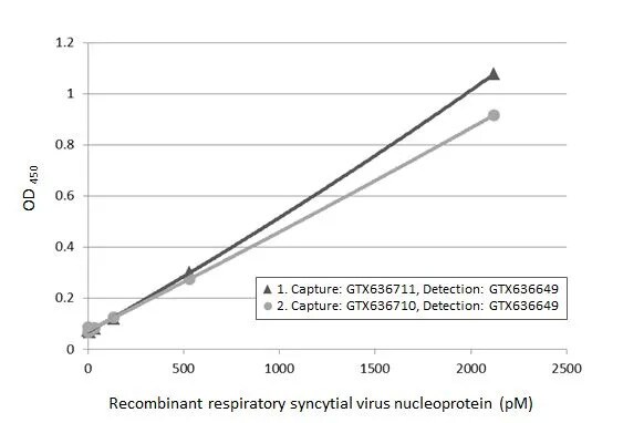 Respiratory Syncytial Virus Nucleoprotein Antibody (HL1247) - Azide and BSA Free