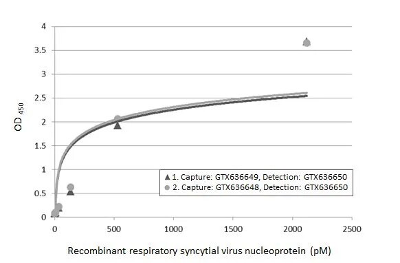 Respiratory Syncytial Virus Nucleoprotein Antibody (HL1248) - Azide and BSA Free