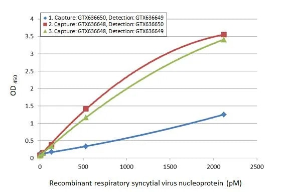 Respiratory Syncytial Virus Nucleoprotein Antibody (HL1248) - Azide and BSA Free