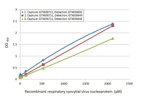 Respiratory Syncytial Virus Nucleoprotein Antibody (HL1248) - Azide and BSA Free