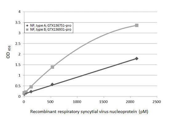 Respiratory Syncytial Virus Nucleoprotein Antibody (HL1291) - Azide and BSA Free