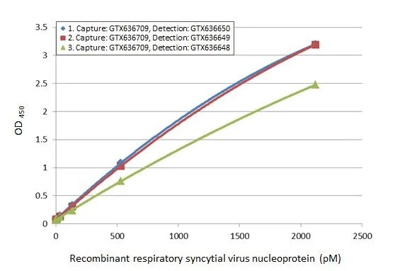 Respiratory Syncytial Virus Nucleoprotein Antibody (HL1295) - Azide and BSA Free