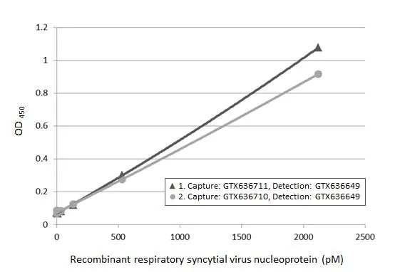 Respiratory Syncytial Virus Nucleoprotein Antibody (HL1297) - Azide and BSA Free