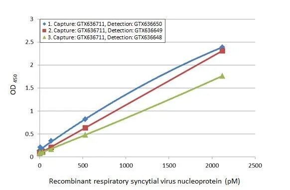 Respiratory Syncytial Virus Nucleoprotein Antibody (HL1297) - Azide and BSA Free