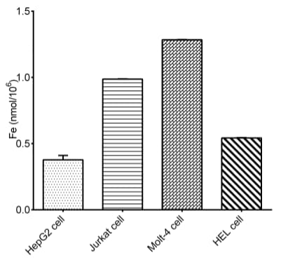 Cell Total Iron (Fe) Assay Kit (Colorimetric)