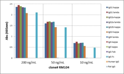 IgG Antibody (RM104) - Azide and BSA Free