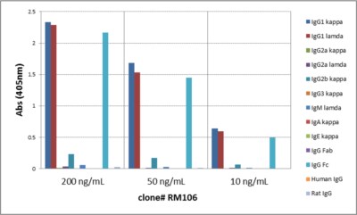 IgG1 Antibody (RM106) - Azide and BSA Free