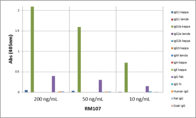 IgG2a Kappa Antibody (RM107) - Azide and BSA Free