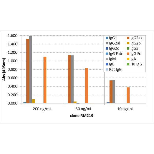 IgG2a Antibody (RM219) - Azide and BSA Free