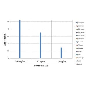 IgM Antibody (RM109) - Azide and BSA Free