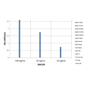 IgM Antibody (RM109) - Azide and BSA Free