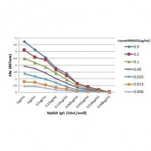 IgG F(ab) Antibody (RMG01) - Azide and BSA Free