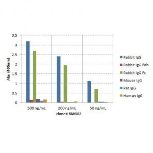 IgG Fc Antibody (RMG02) - Azide and BSA Free