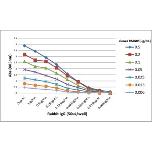 IgG Antibody (RMG03) - Azide and BSA Free
