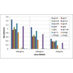 IgG F(ab) Antibody (RMG05) - Azide and BSA Free