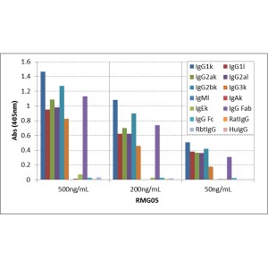 IgG F(ab) Antibody (RMG05) - Azide and BSA Free