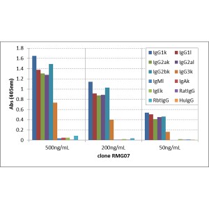 IgG Antibody (RMG07) - Azide and BSA Free