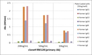IgA Antibody (RM128) - Azide and BSA Free