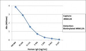 IgA Antibody (RM128) - Azide and BSA Free