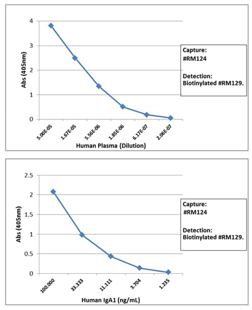 IgA1 Antibody (RM124) - Azide and BSA Free