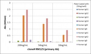 IgA2 Antibody (RM125) - Azide and BSA Free