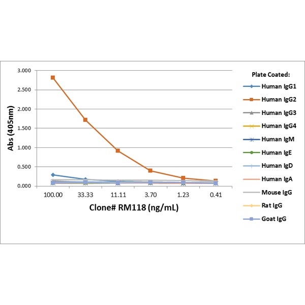 IgG2 Antibody (RM118) - Azide and BSA Free