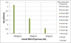 IgG3 Antibody (RM119) - Azide and BSA Free