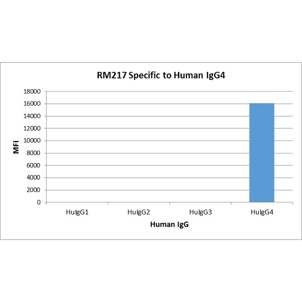 IgG4 Fc Antibody (RM217) - Azide and BSA Free