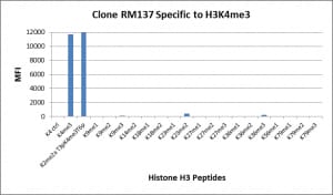 Histone H3 [Trimethyl Lys4] Antibody (RM137) - Azide and BSA Free