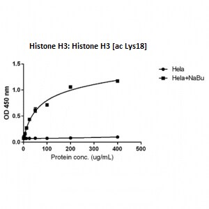 Histone H3 [ac Lys18] Antibody (RM166) - Azide and BSA Free