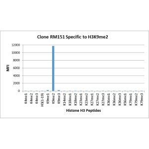 Histone H3 [Dimethyl Lys9] Antibody (RM151) - Azide and BSA Free
