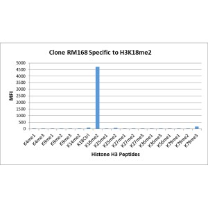 Histone H3 [Dimethyl Lys18] Antibody (RM168) - Azide and BSA Free