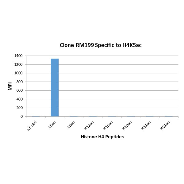 Histone H4 [ac Lys5] Antibody (RM199) - Azide and BSA Free
