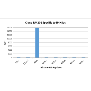 Histone H4 [ac Lys8] Antibody (RM201) - Azide and BSA Free