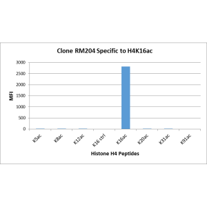 Histone H4 [ac Lys16] Antibody (RM204) - Azide and BSA Free