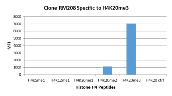 Histone H4 [Trimethyl Lys20] Antibody (RM208) - Azide and BSA Free