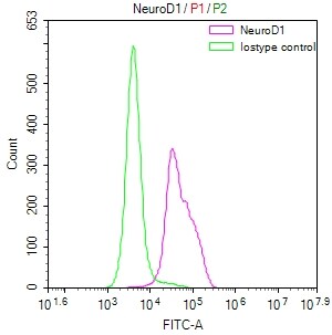 NeuroD1 Antibody (5D2)
