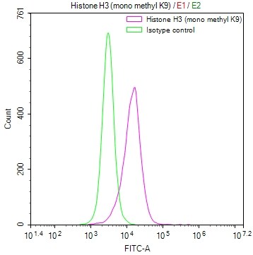 HIST1H3A [Monomethyl Lys9] Antibody (13E1)