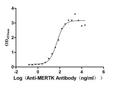 Mer Antibody (8H11)