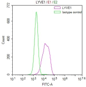 LYVE-1 Antibody (11C11)
