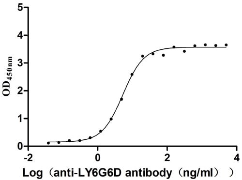 Gr-1/Ly-6G Antibody (8I8)