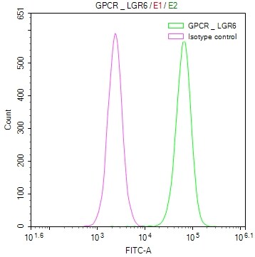 Lgr6 Antibody (15G3)