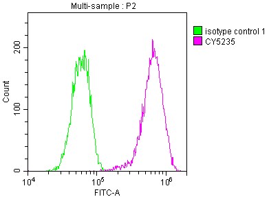LDLR Antibody (2B10)